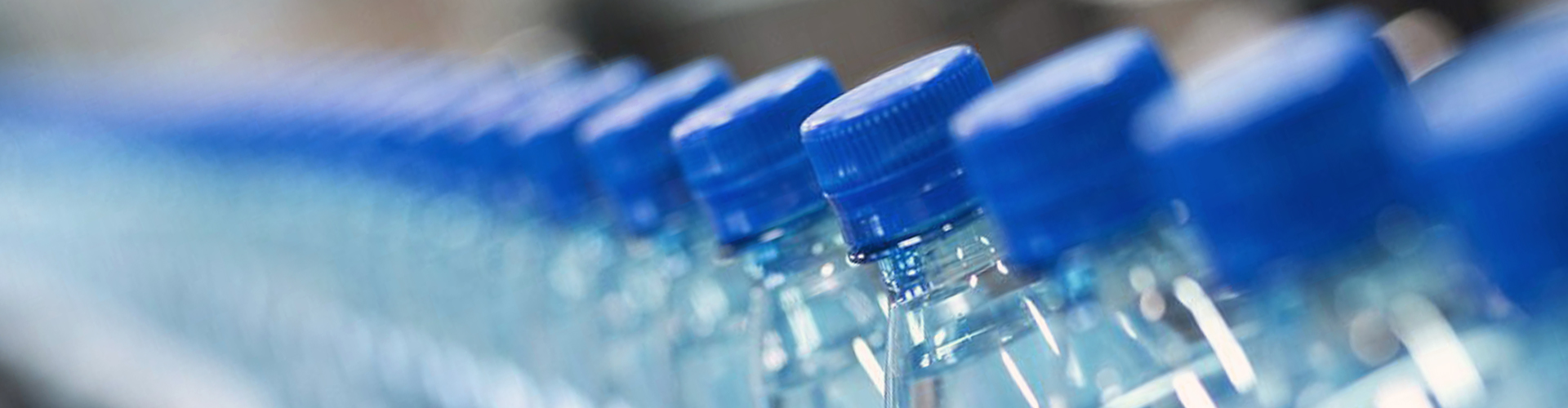 豪运国际集团（LSI）