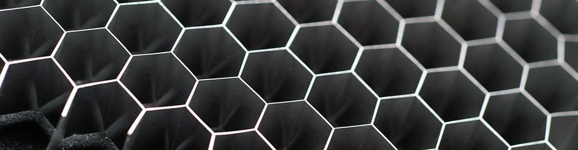 豪运国际集团（LSI）